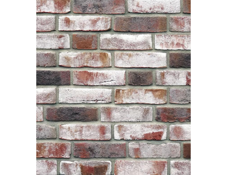 Клинкерная плитка GEESTBRAND grauweiss-bunt - 1