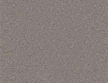 Напольная плитка VIGRANIT Feinkorn 20x20 anthrazit