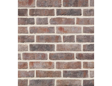 Клинкерный кирпич WASSERSTRICH bunt-grau - 1